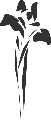 Editions Désiris